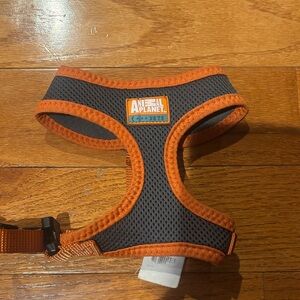 Animal Planet Orange and Black Pet Harness
